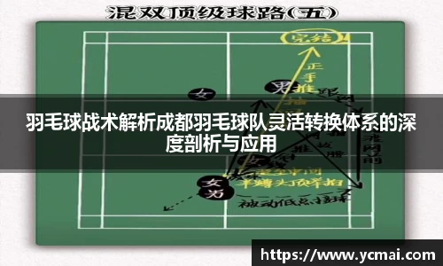 羽毛球战术解析成都羽毛球队灵活转换体系的深度剖析与应用